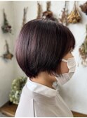 2023  ショートボヴ ×ピンクグレージュ × ハイライト