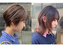 アカラ アネックス(acala annex)