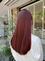 サロン(SALON)&nbsp;ストレートレッドブラウンヘア