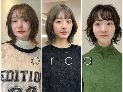 オルカ(orca)の写真