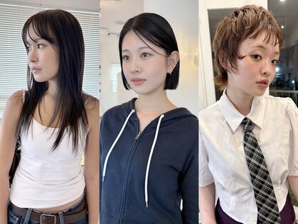 アミ カシワ(ami kashiwa)の写真