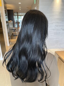 フェイス 大船(FACE) ツヤ感たっぷりブルーブラック　/コノミ．