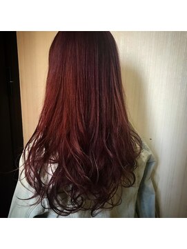 トムキャット(TOM CAT) 【新宿TOMCAT】レッドボルドー