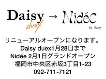 ニディー バイ デイジー(Nidee by Daisy)
