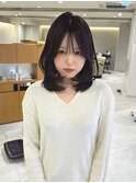 ミディアムレイヤー