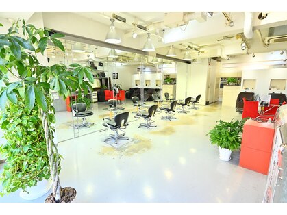 ビー ヘアードレッサーズ(b.Hair Dressers)の写真