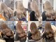 ミラ 新宿(MILA)の写真