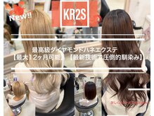 ケーアールツーエス 北野田店(KR2S)