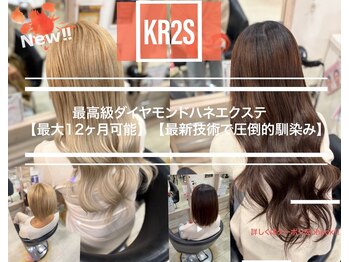 KR2S北野田店