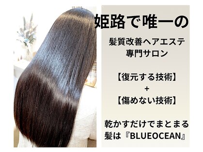 ブルーオーシャン 姫路飾磨店(BLUEOCEAN)の写真