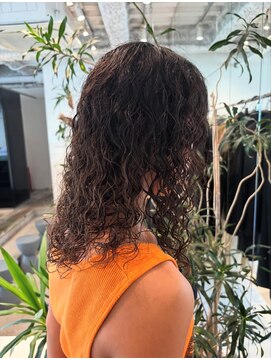 エニイ(ANY) ハードスパイラルパーマ/ASATO SUDA