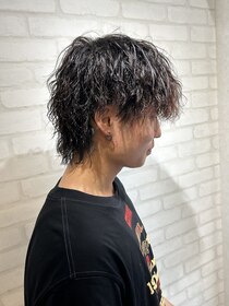 リレイス(RELACE) ツイスパウルフ