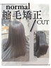 【期間限定料金】ノーマル縮毛矯正 / カット⇒￥11000