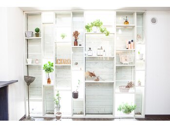 ciro becks 【シロ　ベックス】