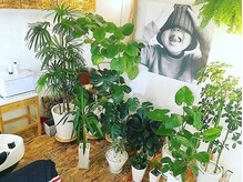 エム エム(m.m BEAUTY PARLOR)