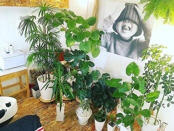 エム エム(m.m BEAUTY PARLOR)の写真/居心地抜群のプライベートサロン。安心のマンツーマン施術と丁寧なカウンセリング。