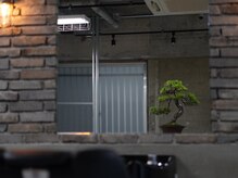 ヴェルゴ 高松店(vellgo)