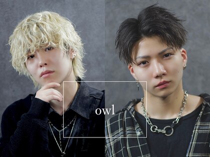 アウル 心斎橋(owl)の写真