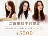 【あと5人早い者勝ち!8月8日限定】似合わせカット+うる艶カラー+美髪TR