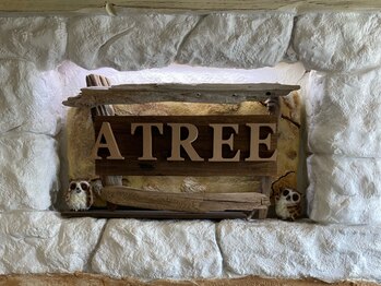 アツリー(A TREE)の写真/大人女性の髪のお悩みに合わせてご提案♪グレイカラーでも艶のあるカラーであなたの理想が手に入る◎