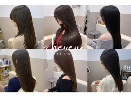 シュヴーブリヤン(cheveux brillants)の写真