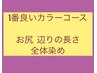 一番良いカラーコース ●お尻 辺りの長さ 全体染め