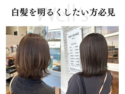 ウェルズ グランデ 奈良店(Well's GRANDE)の写真