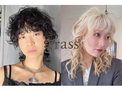 グラス(grass)の写真