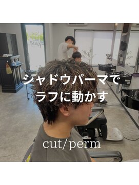 グリード バイ ボルド(GREED BY BORDO) シャドウパーマ