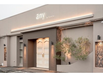 エニィ(any)の写真
