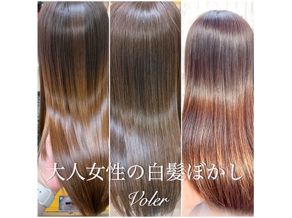 ヴォレ(Voler)の写真