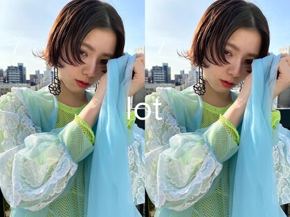 ロット(lot)の写真