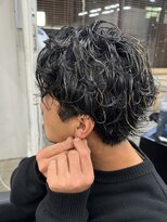 バージョン(Ver.)&nbsp;ハイライトパーマ