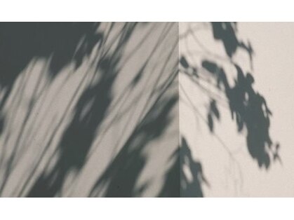 ナンバージュウサン(no.13)の写真