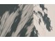 ナンバージュウサン(no.13)の写真