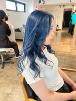 ザ オーダー(THE ORDER)&nbsp;ネイビーカラー/ブルー/ハイトーン/ケアブリーチ/ダブルカラー