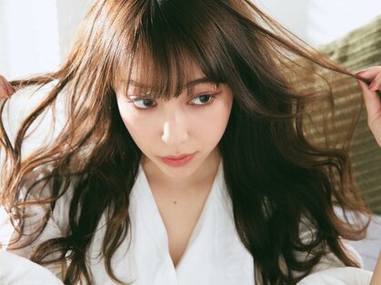 シキ(shiki)の写真