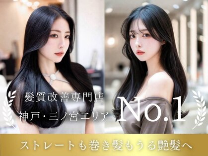 エルサ(Elsa)の写真