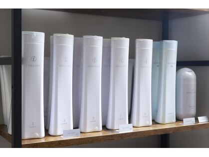 ボーダー(Border)の写真