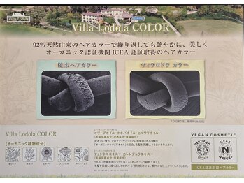 ホワイトバーチ(white birch)の写真/天然由来のへアカラーで美しい髪へ♪