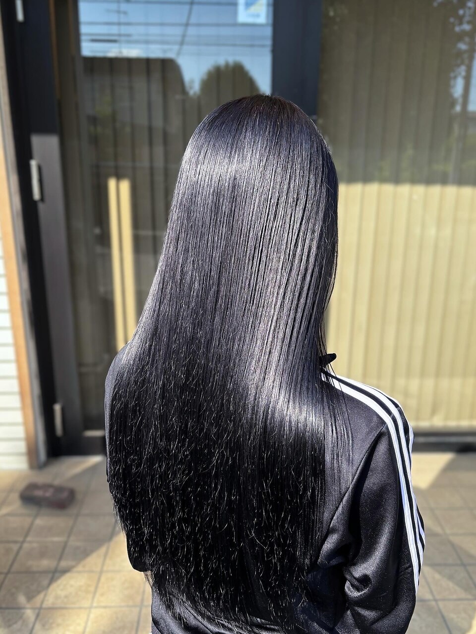 イルミナカラー × ブロッサム × トワイライト：L137784941