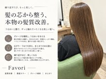 ファボリ(Favori)