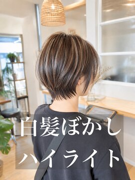 コノアラボ 守谷店(Conoah labo) ダークパープル/ナチュラルショート/ミルクブラウン/夏/守谷