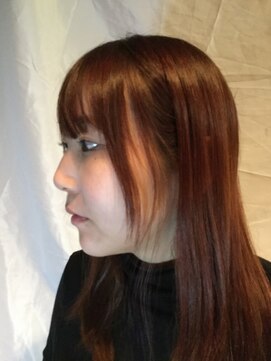 テッドヘアー(Ted hair) OSミディアム