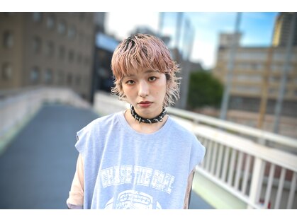 キジ(KIJI)の写真