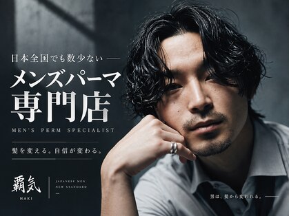 覇気(HAKI)の写真
