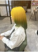 レモンイエローグラデーションカラーグリーン本厚木