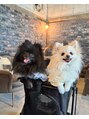 アシュレイ(ASHLEY)&nbsp;黒と白のポメラニアンを飼ってます(^ ^)♪