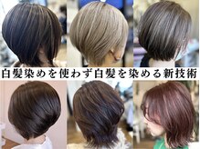 ディーディーフォルム(DD form)