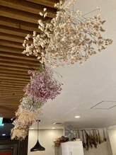 アルマヘアー